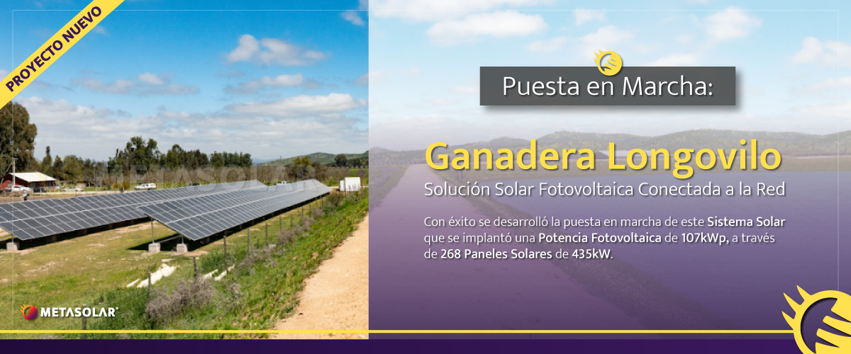 Lee más sobre el artículo Puesta en marcha de proyecto solar ganadera Rinconada de Longovilo